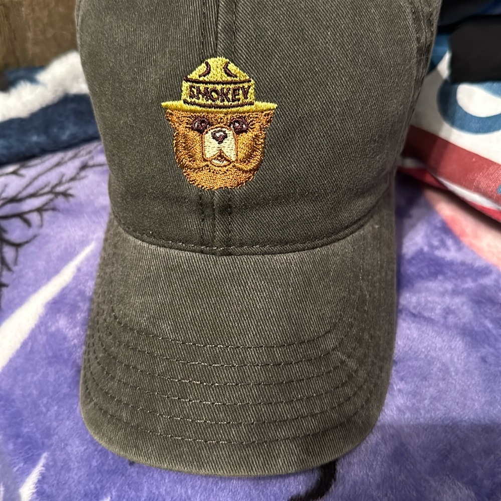 Smokey the bear hat